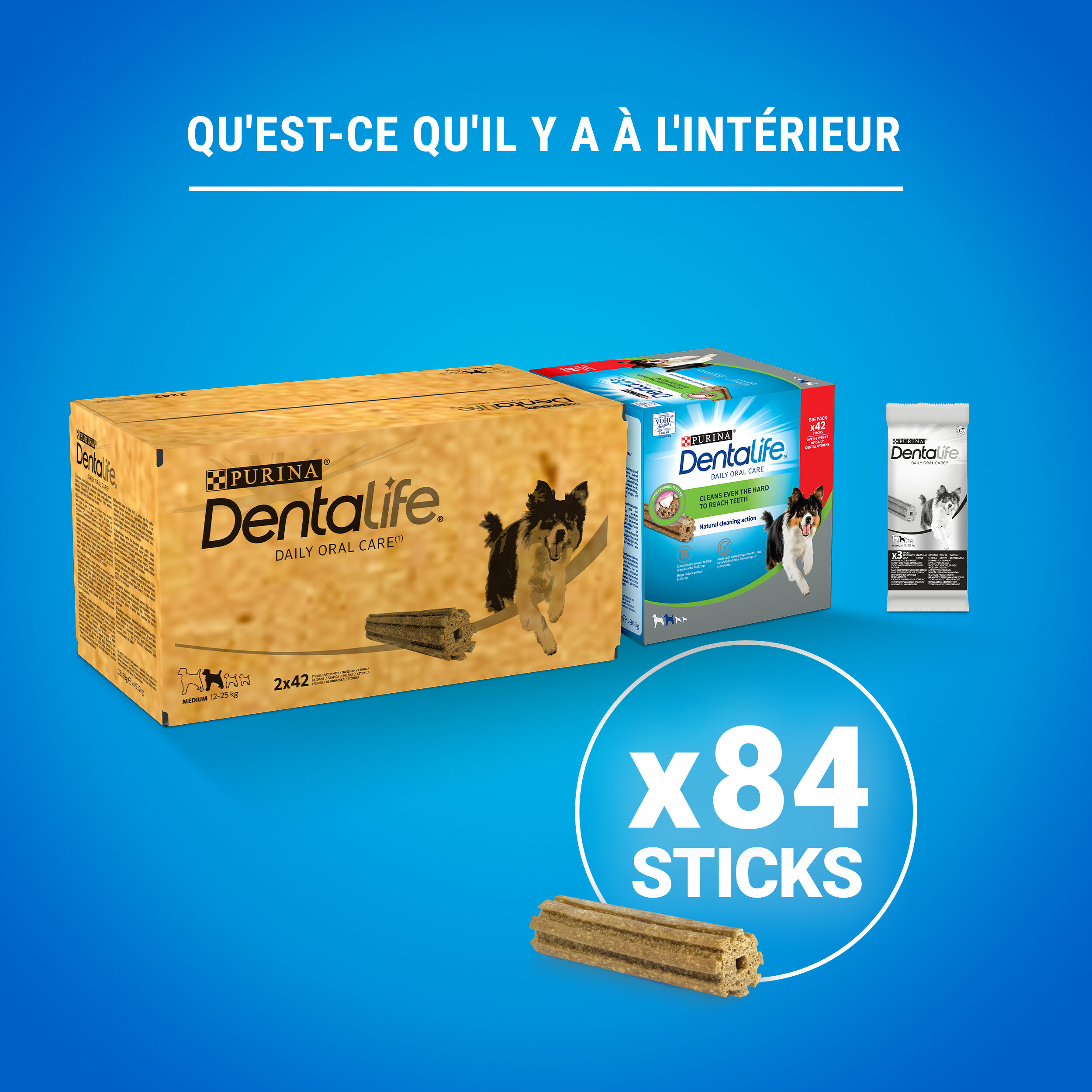 Dentalife - Multipack B&acirc;tonnets &agrave; M&acirc;cher Hygi&egrave;ne Bucco-dentaire pour Chiens - Medium/x 84 Image num&eacute;ro 2