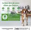 Wellness CORE - Repas Complet 95% d'Agneau pour Chien - 400g Indicateur image numéro 3
