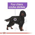 Royal Canin - Croquettes Maxi Sterilised pour Chien Adulte Stérilisé - 3Kg image number null