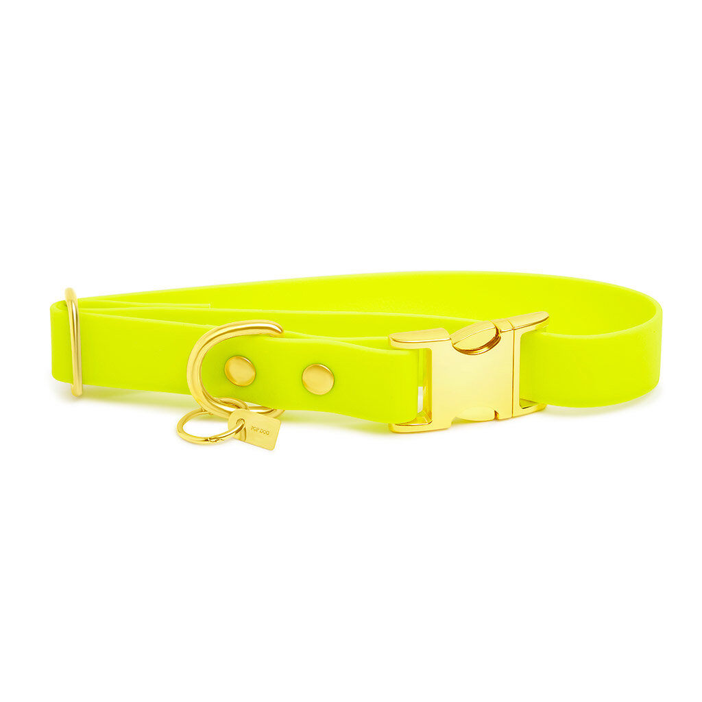 Pop Dog - Collier Joyeux Jaune pour Chien - S Image num&eacute;ro 2