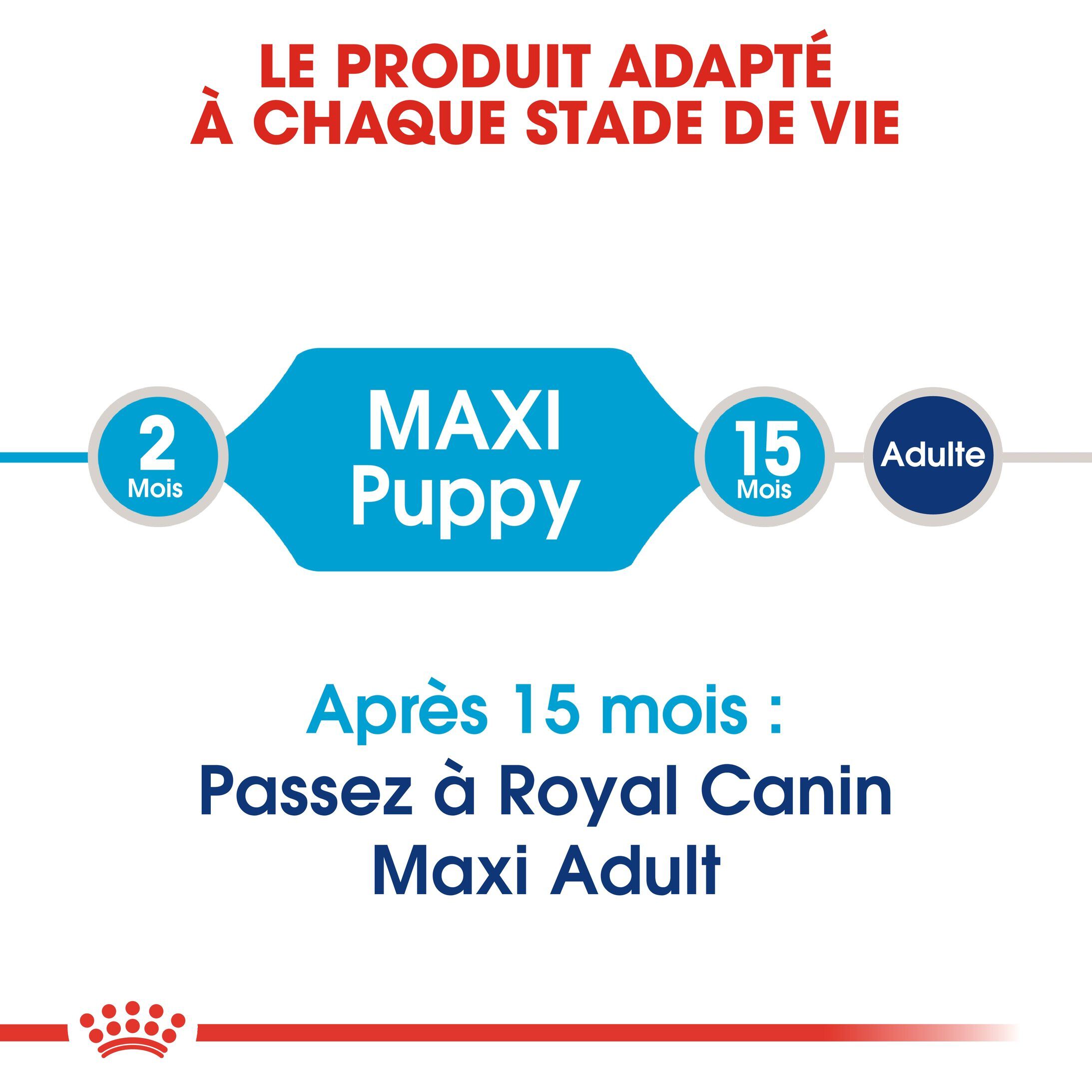 Royal Canin - Croquettes Maxi Puppy pour Chiot - 15Kg Image num&eacute;ro 4