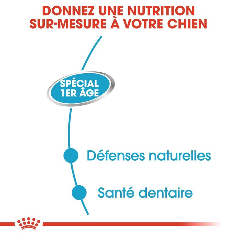 Royal Canin - Boîte Starter Mousse Mother & Babydog en Patée pour Chien - 195g Image numéro 4 Royal Canin - Boîte Starter Mousse Mother & Babydog en Patée pour Chien - 195g Image numéro 4