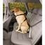 Kurgo - Harnais Transport et Marche Sécurité Tru-Fit pour Chien - XL Indicateur image numéro 4