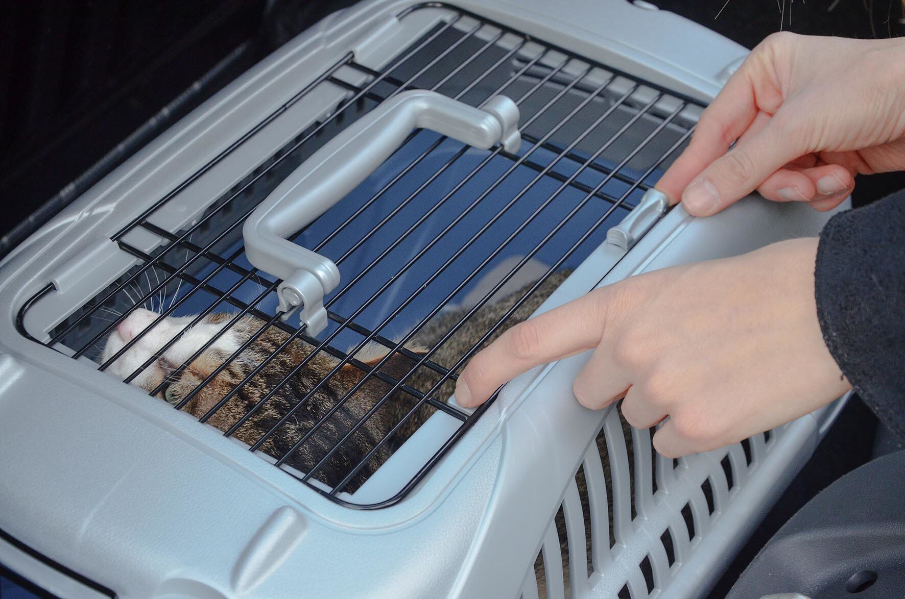 Ferplast - Panier Transport Atlas Deluxe 10 Open Image num&eacute;ro 11