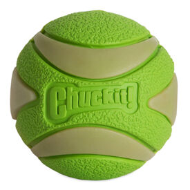 ChuckIt! - Balle Max Glow Ultra Squeaker Ball - M