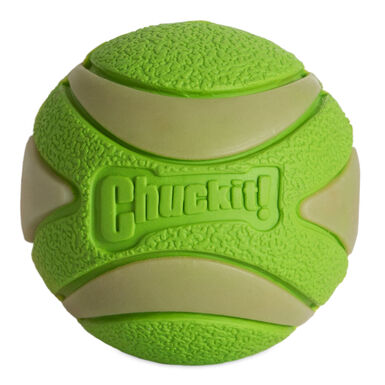 Petmate - Jouet  CHUCKIT! Max Glow Ul Squeaker Ball - M