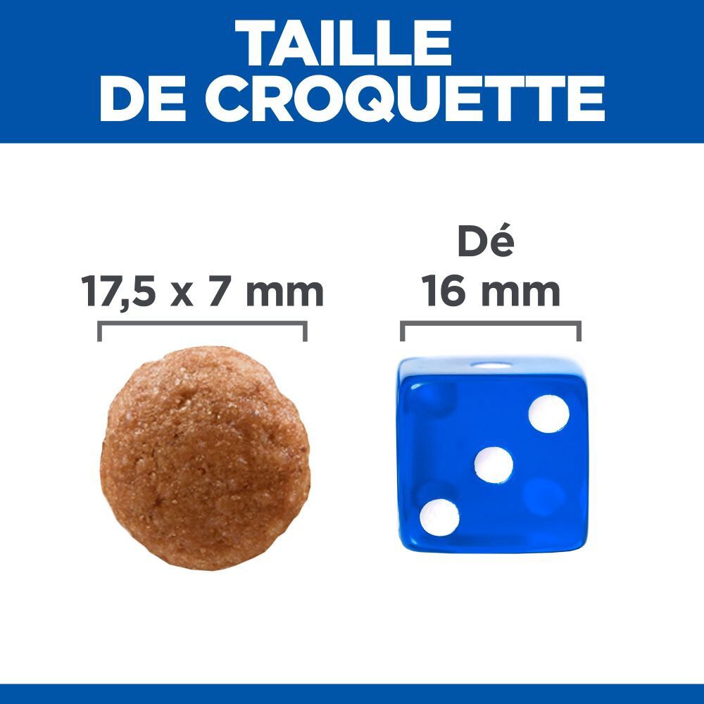 Hill's Science Plan - Perfect Digestion Large Breed Croquettes Pour Chien  - 12kg Image num&eacute;ro 6