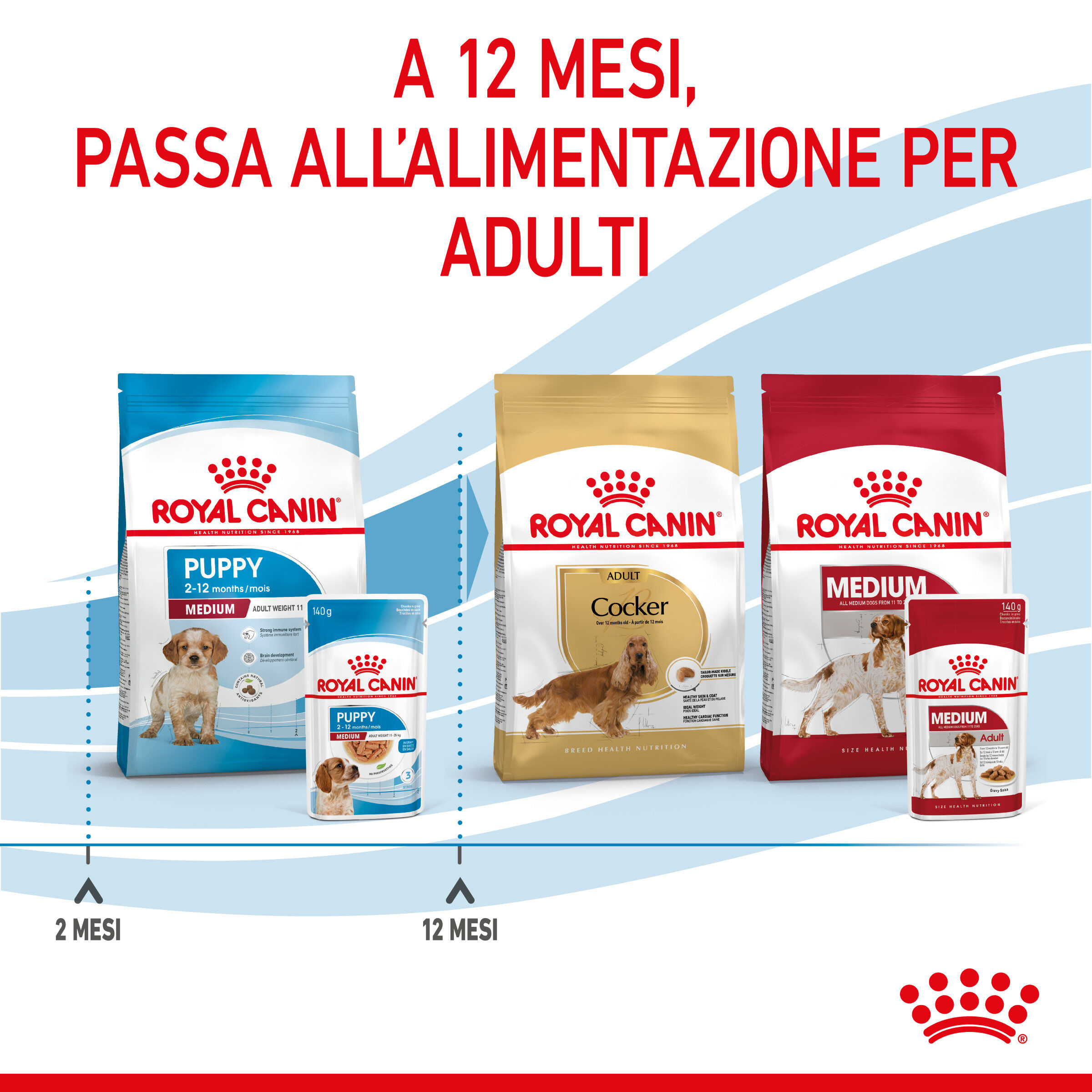 Royal Canin - Sachets Puppy Medium en Sauce pour Chiot - 10x140g Image num&eacute;ro 4
