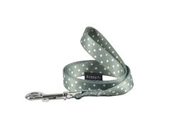 Bobby - Laisse Pretty Vert pour Chiens