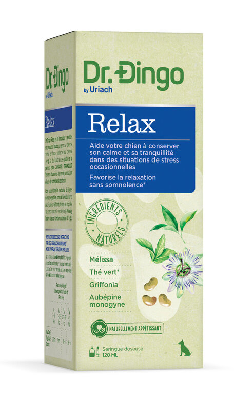 Dr. Dingo - Aliment Complémentaire Relax pour Chien - 120ml Image numéro 1 Dr. Dingo - Aliment Complémentaire Relax pour Chien - 120ml Image numéro 1