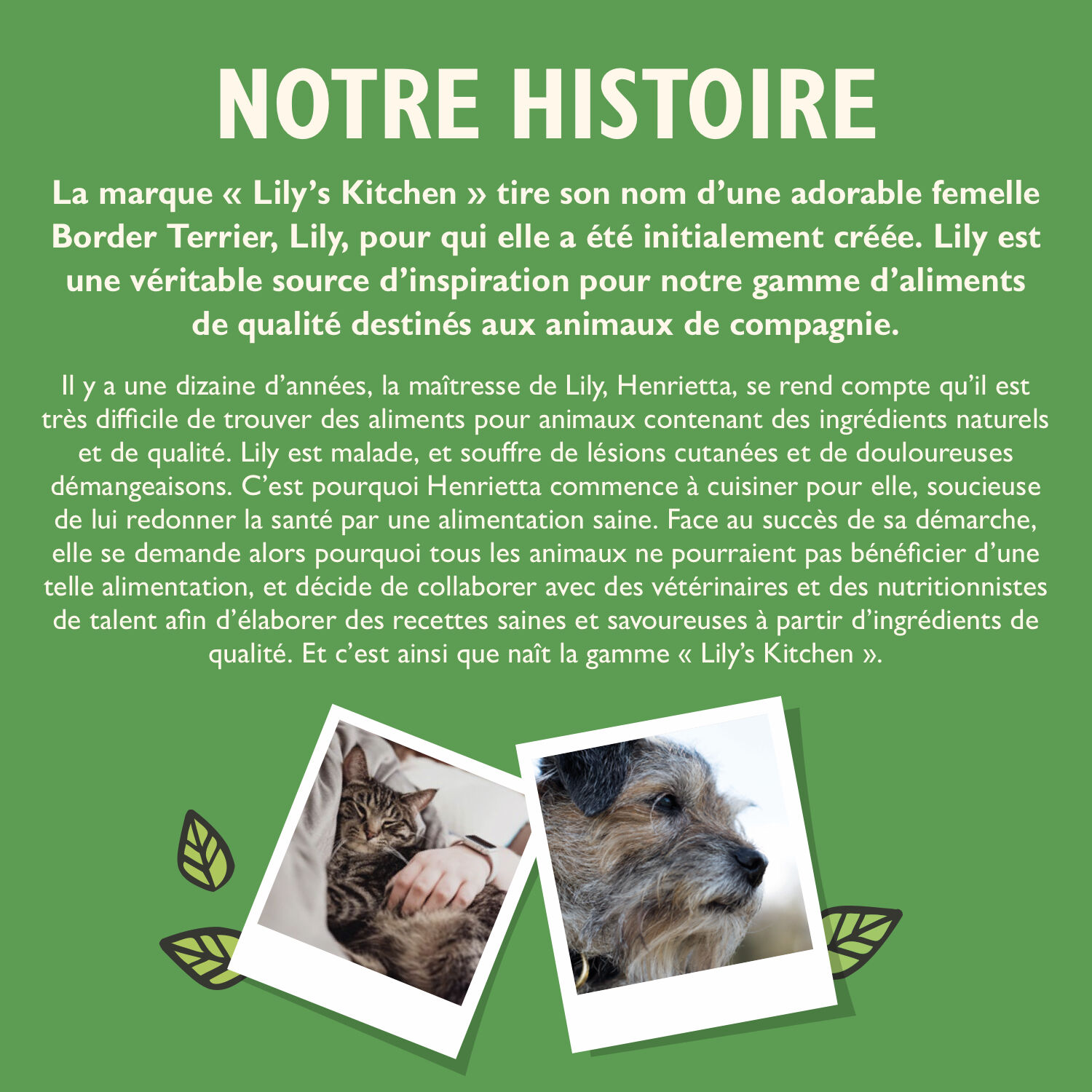 Lily's Kitchen - Croquettes Shepherds Pie sans C&eacute;r&eacute;ales Agneau Potatoes pour Chiens Adultes - 2,5Kg Image num&eacute;ro 4
