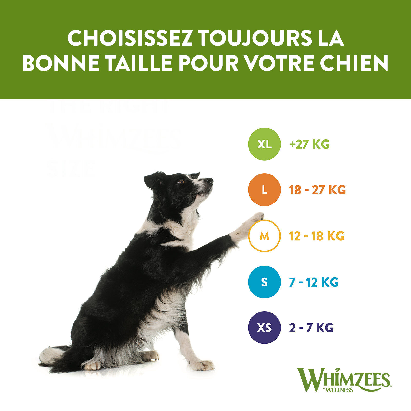 Whimzees - Friandises Nature Crocodile Dog Treats M pour Chien - x12 Image num&eacute;ro 7