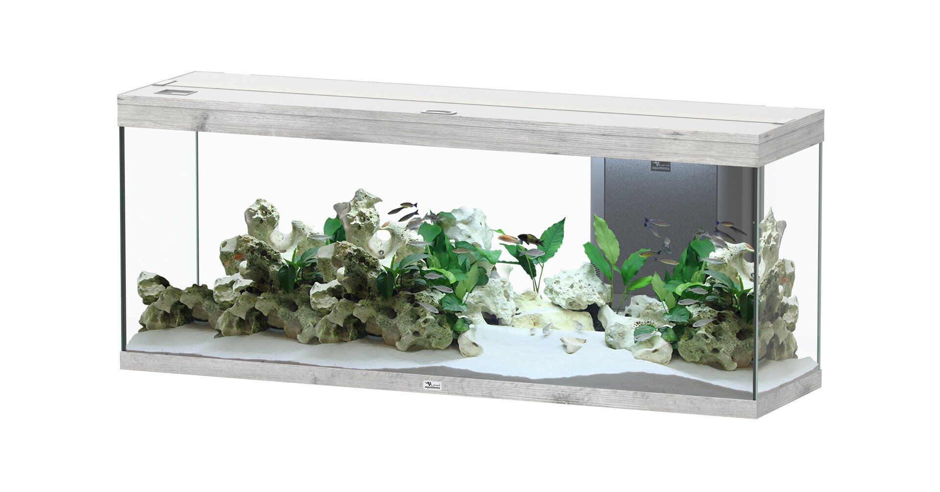 Aquatlantis - Aquarium SPLENDID 150 Led 2.0 Equip&eacute; Ch&ecirc;ne Blanc - 298L Image num&eacute;ro 1