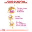 Royal Canin - Croquettes Maine Coon Kitten pour Chatons - 10Kg Indicateur image numéro 3