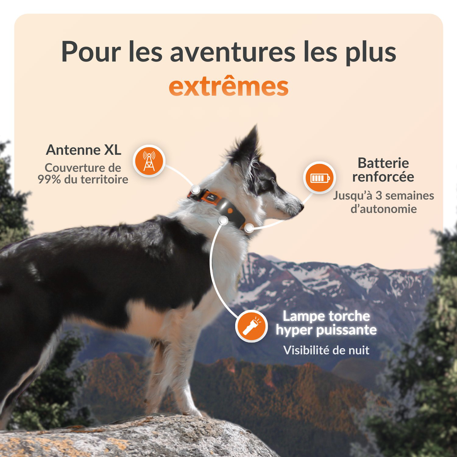 Weenect - Collier GPS XT Chiens - Noir Image num&eacute;ro 15