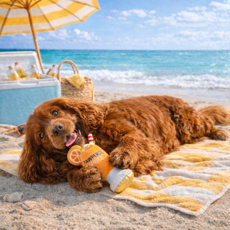Summer Vibes - Peluche Cocktail "Pawperol" pour Chiens - 25cm Image num&eacute;ro 6