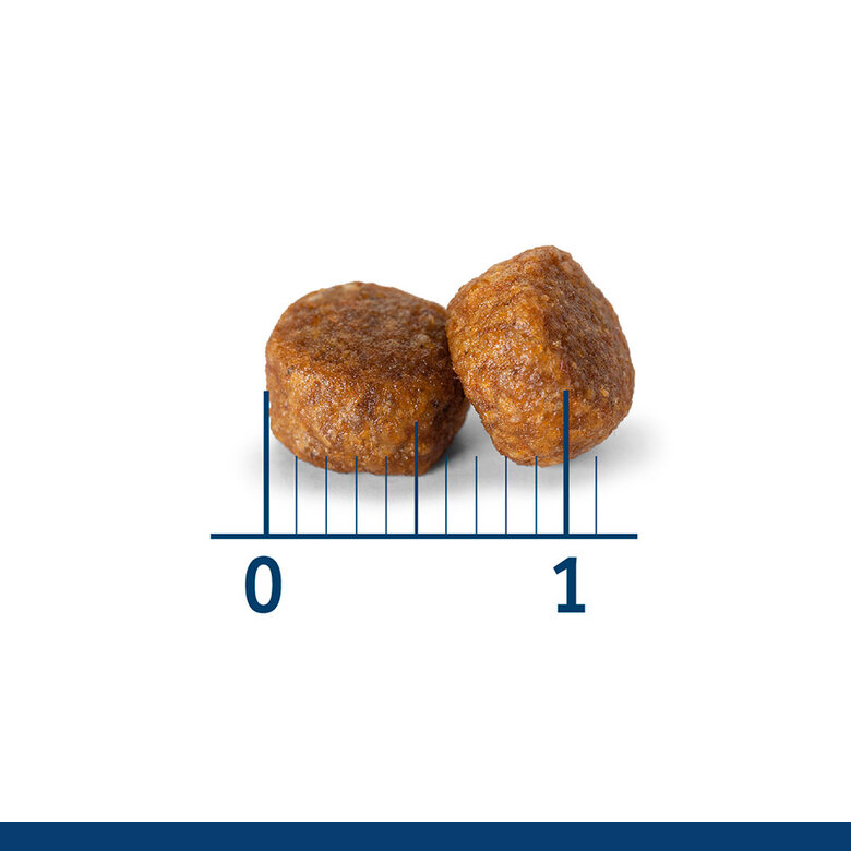 Nath - Croquettes Mini Puppy au Poulet pour Chiot - 400g Image num&eacute;ro 3