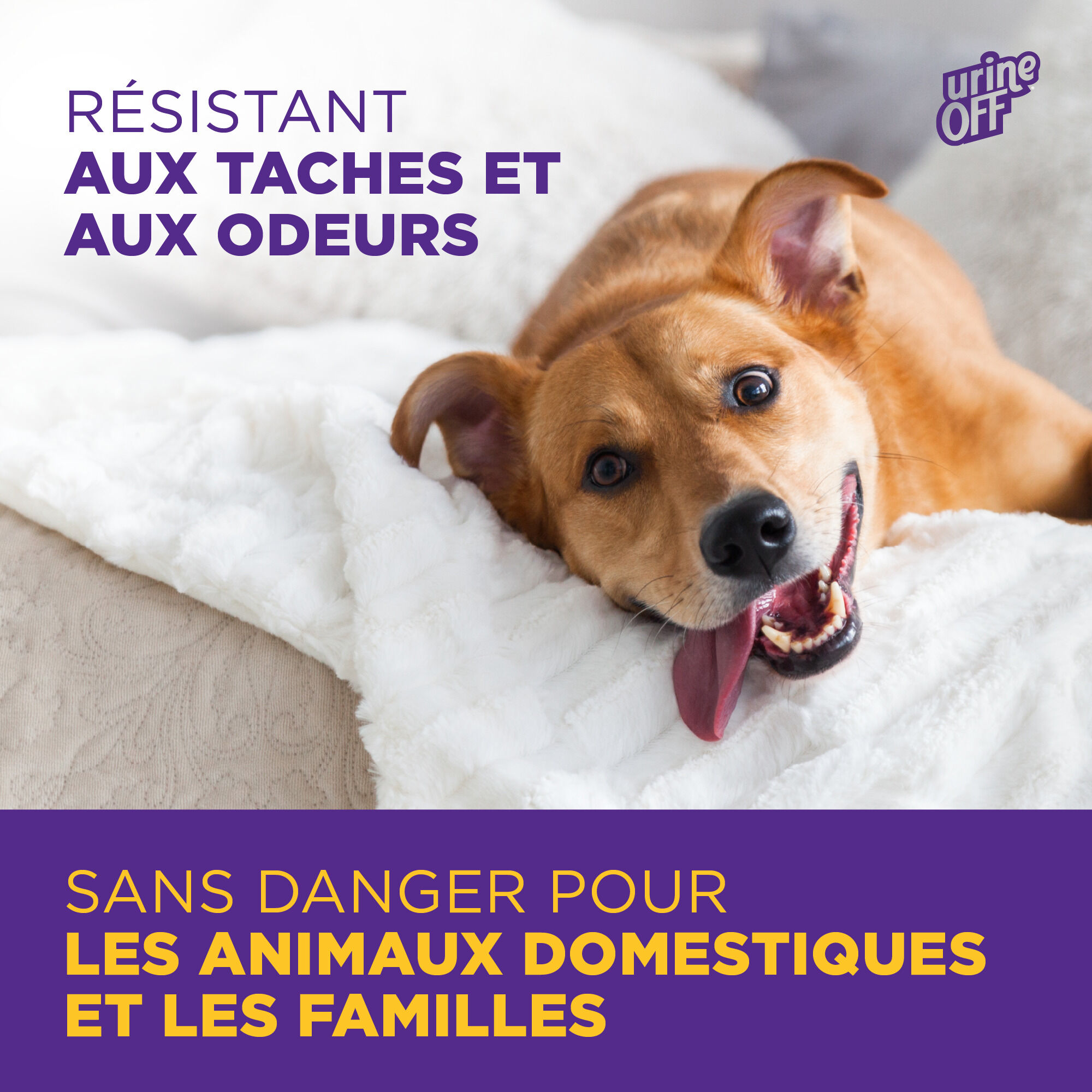 Urine Off - Destructeur Biotec Urine Off Chien -  500ml Image num&eacute;ro 4