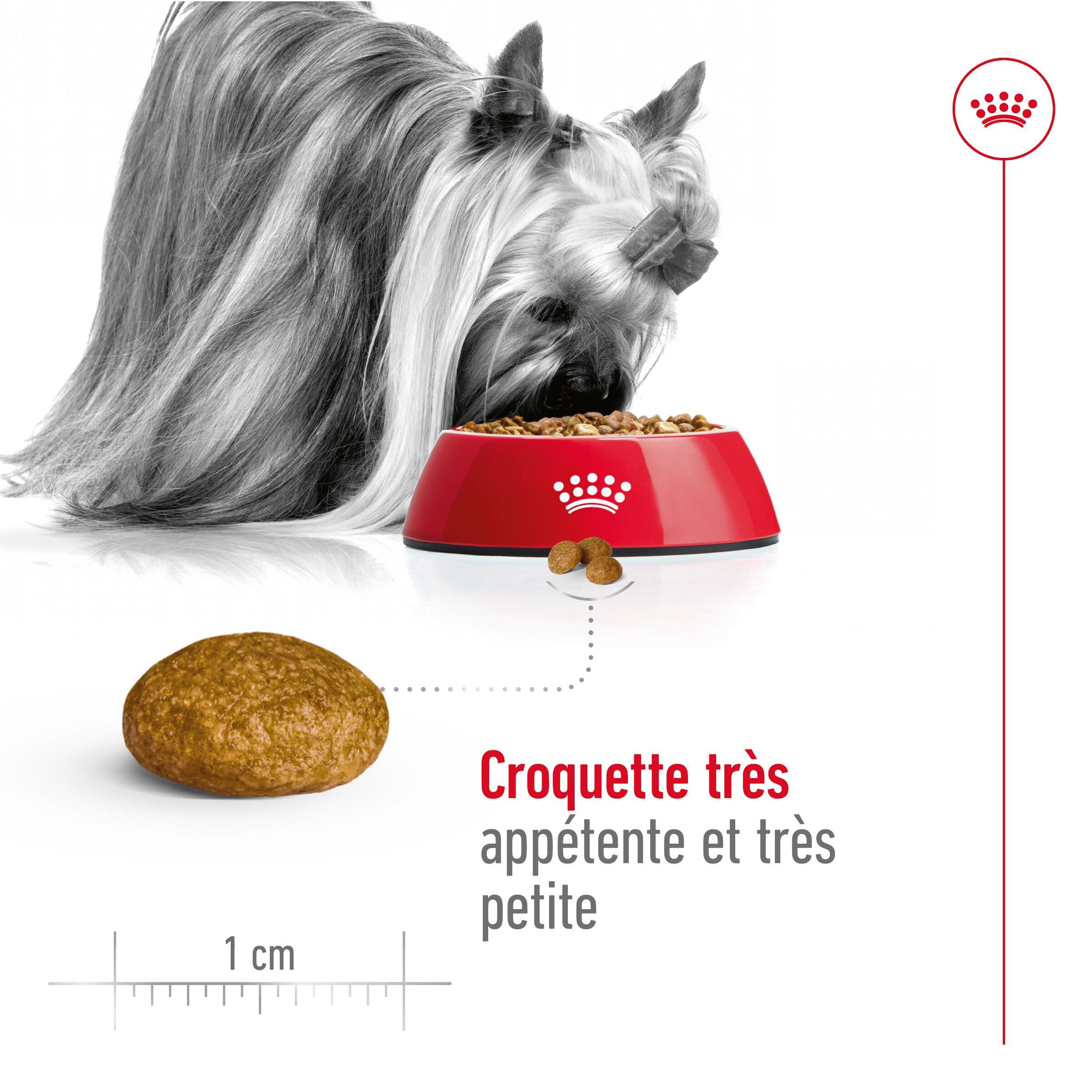 Royal Canin - Croquettes  X Small pour Chien Adulte de Petite Taille - 1,5Kg Image num&eacute;ro 8