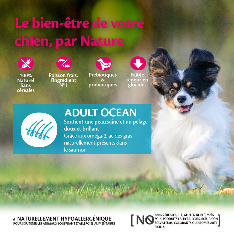 Wellness CORE - Croquettes Océan au Saumon pour Chien Petite Race - 1,5Kg Image numéro 2 Wellness CORE - Croquettes Océan au Saumon pour Chien Petite Race - 1,5Kg Image numéro 2