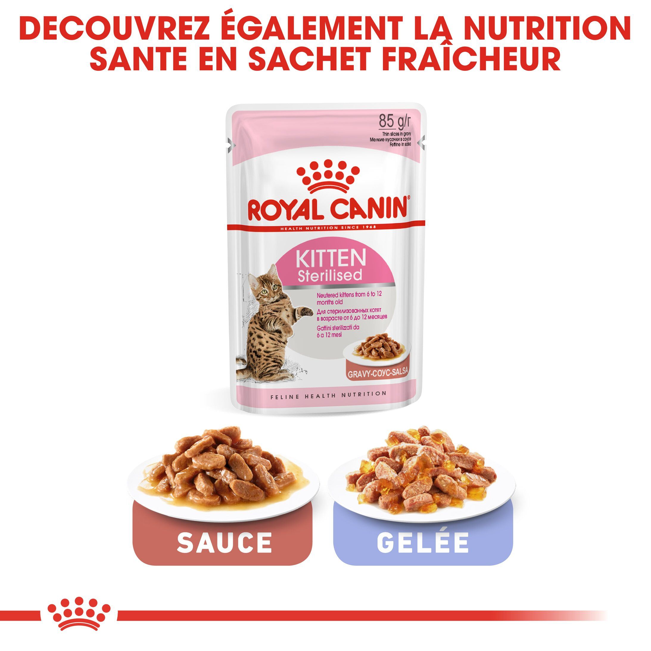 Royal Canin - Croquettes Kitten Sterilised pour Chaton - 3,5Kg Image num&eacute;ro 6
