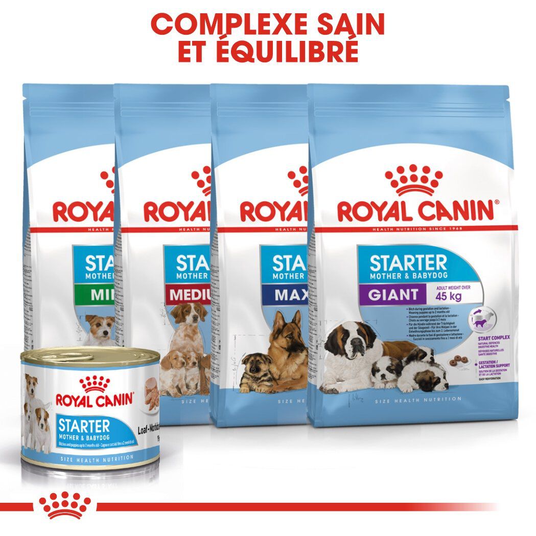 Royal Canin - Bo&icirc;te Starter Mousse Mother & Babydog en Pat&eacute;e pour Chien - 195g Image num&eacute;ro 6