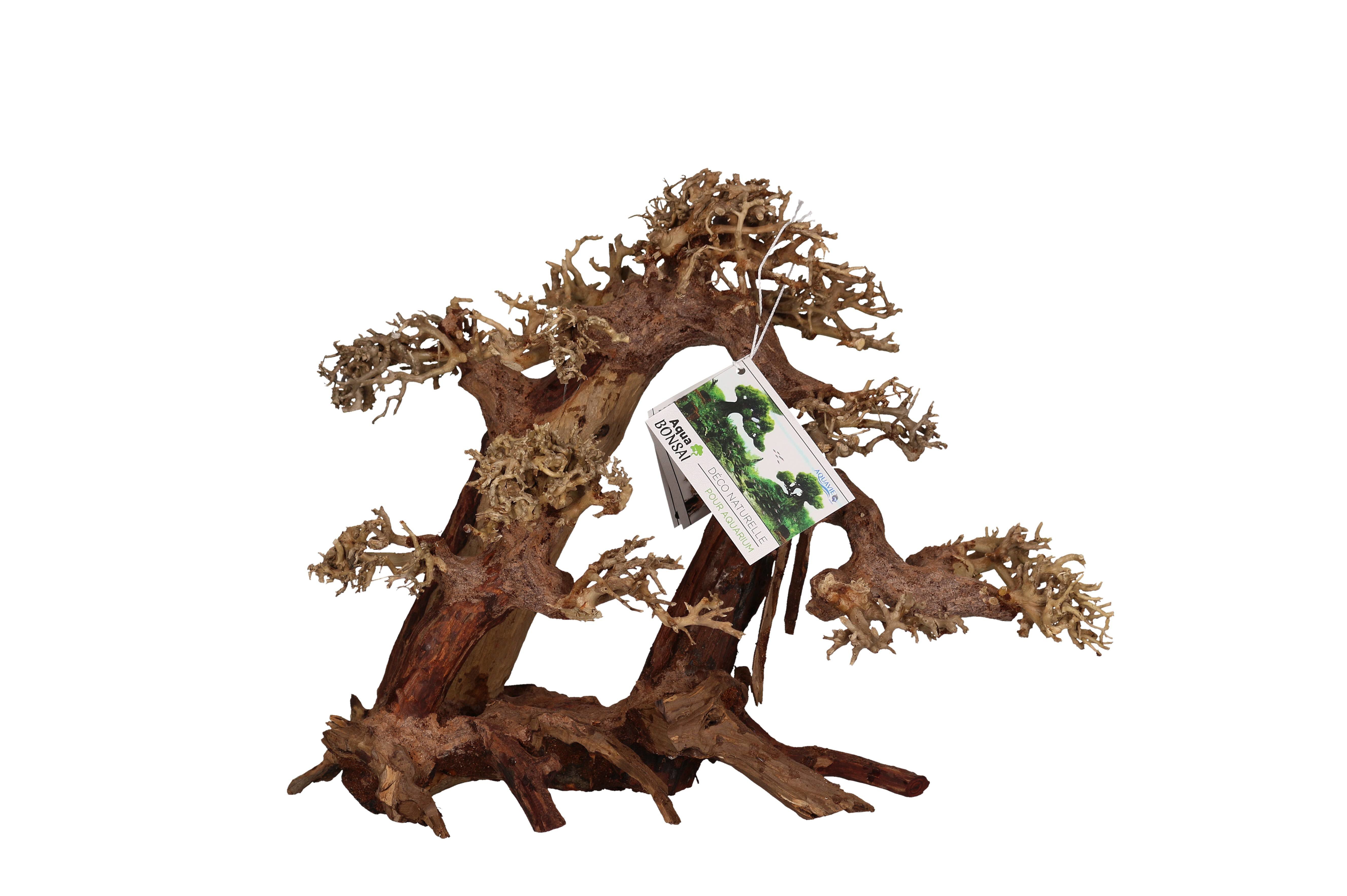 Aquavie - D&eacute;coration Bonsa&iuml; Nature pour Aquarium - XXL Image num&eacute;ro 1