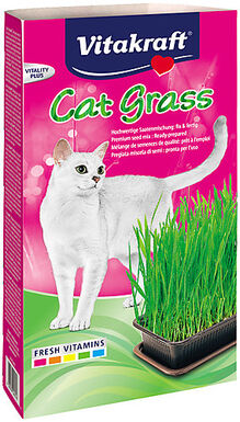 Vitakraft - Herbe à Chat Cat-Gras pour Chats - 120g