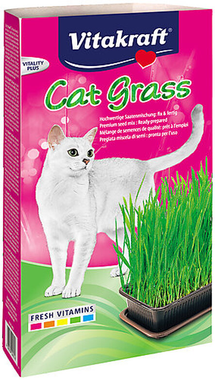 Vitakraft - Herbe à Chat Cat-Gras pour Chats - 120g image number null