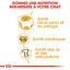 Royal Canin - Croquettes Ragdoll Adult pour Chat - 2Kg Indicateur image numéro 4