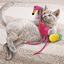 KONG - Jouet Tropics Flamant Rose pour Chats - 29cm Indicateur image numéro 3