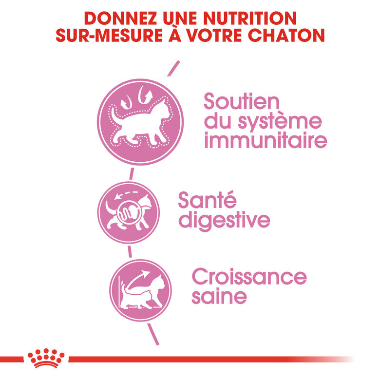 Royal Canin - Croquettes Kitten Second Age pour Chatons - 10Kg image number null