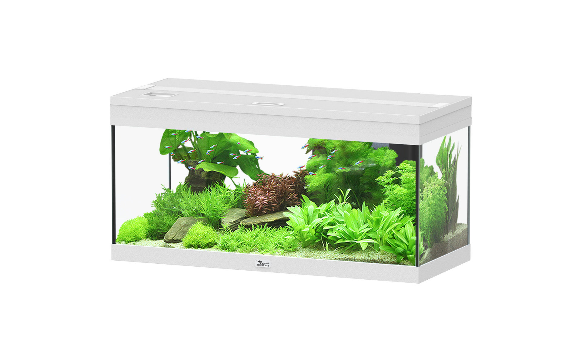 Aquatlantis - Aquarium Prestige 80 - Blanc Led 2.0 EQP Image num&eacute;ro 1
