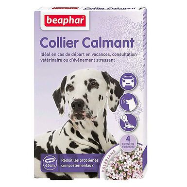 Beaphar - Collier Calmant Anti-stress pour Chien