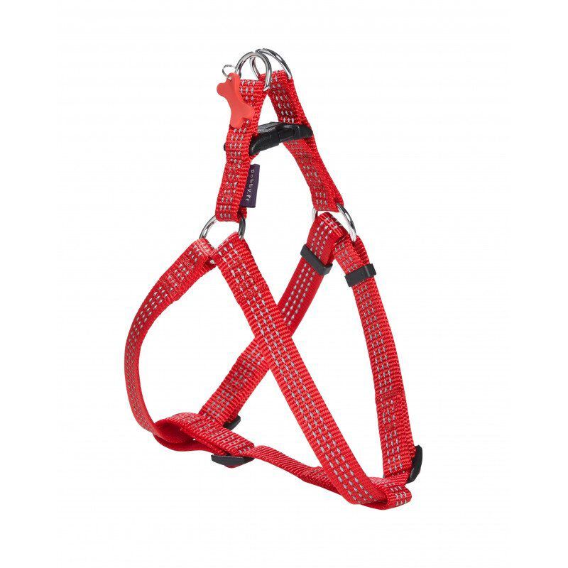 Bobby - Harnais Baudrier Safe 10 pour Chiens - Rouge Image num&eacute;ro 1