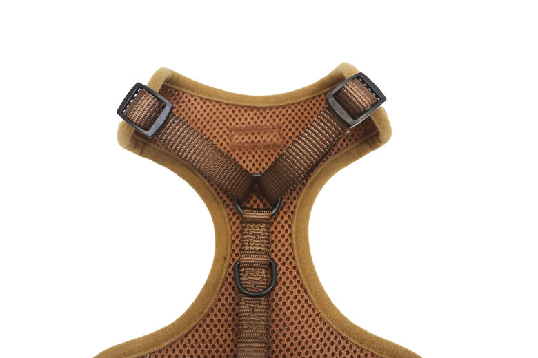 Gotoo - Harnais Ourson Brun pour Chien  - S Image numéro 4 Gotoo - Harnais Ourson Brun pour Chien  - S Image numéro 4