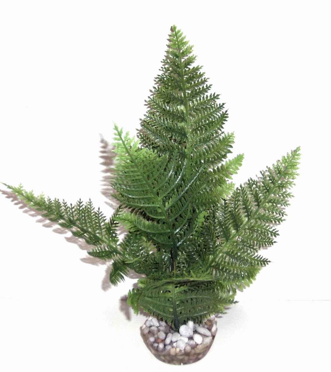 Labeo - Foug&egrave;re - Plante Artificielle Aquarium et Terrarium Image num&eacute;ro 2