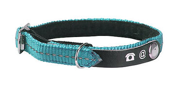 Bobby - Collier Lost Turquoise pour Chat - XS