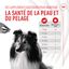 Royal Canin - Aliment Complémentaire Adult Skin & Coat Chews pour Chiens - 240g Indicateur image numéro 4