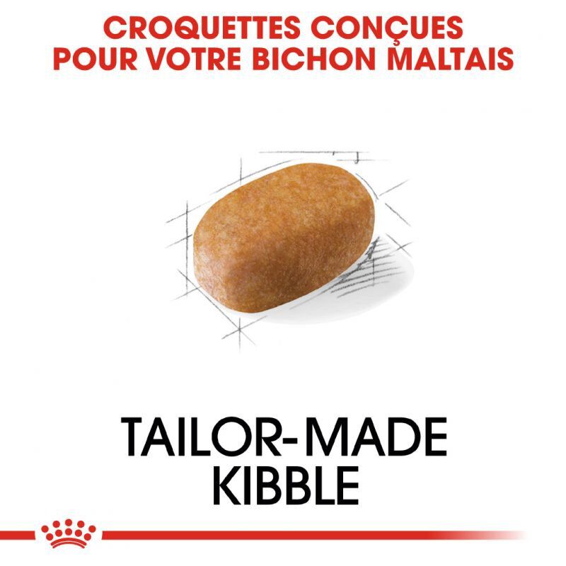 Royal Canin - Croquettes Maltese Adult Bichon Maltais pour Chiens - 1,5Kg Image num&eacute;ro 2