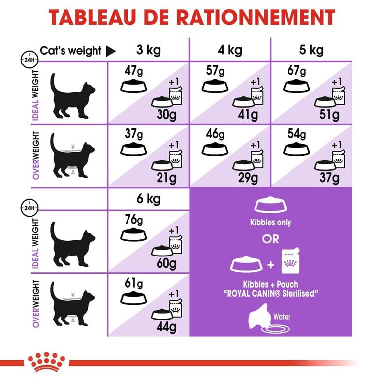 Royal Canin - Croquettes Sterilised 37 pour Chat - 2Kg Image numéro 6 Royal Canin - Croquettes Sterilised 37 pour Chat - 2Kg Image numéro 6