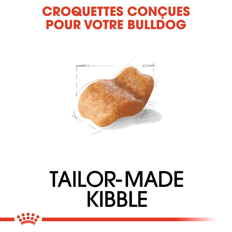 Royal Canin - Croquettes Bulldog Adult pour Chiens - 3Kg Image numéro 3 Royal Canin - Croquettes Bulldog Adult pour Chiens - 3Kg Image numéro 3
