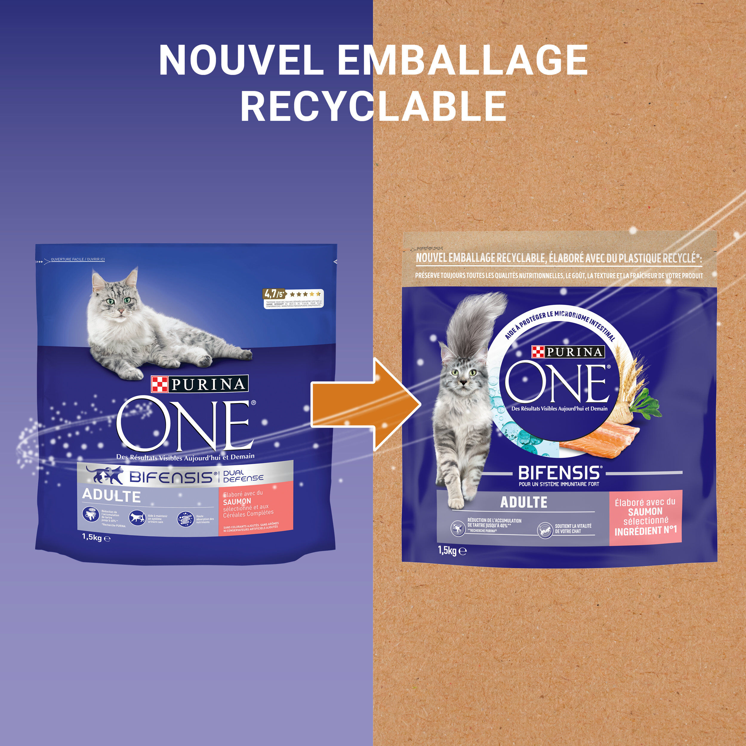 Purina One - Croquettes au Saumon et C&eacute;r&eacute;ales pour Chat Adulte - 1,5Kg Image num&eacute;ro 8