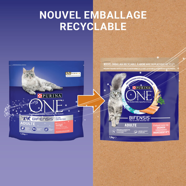 Purina One - Croquettes au Saumon et Céréales pour Chat Adulte - 1,5Kg Image numéro 8 Purina One - Croquettes au Saumon et Céréales pour Chat Adulte - 1,5Kg Image numéro 8