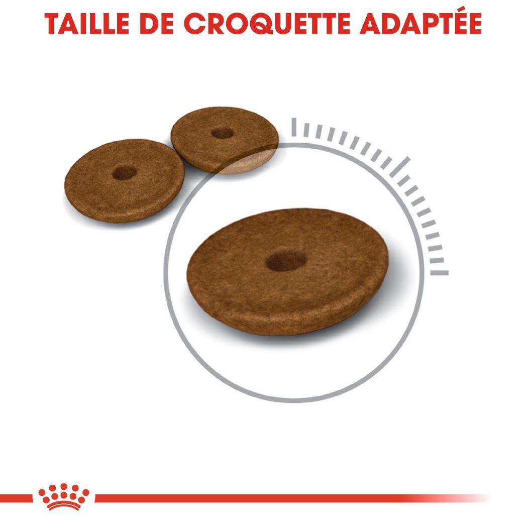 Royal Canin - Croquettes Digestive Care pour Chat - 4Kg Image num&eacute;ro 3