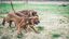 Tyrol -  Balle Rebondissante en Caoutchouc Naturel pour Chien - 10cm Indicateur image numéro 3