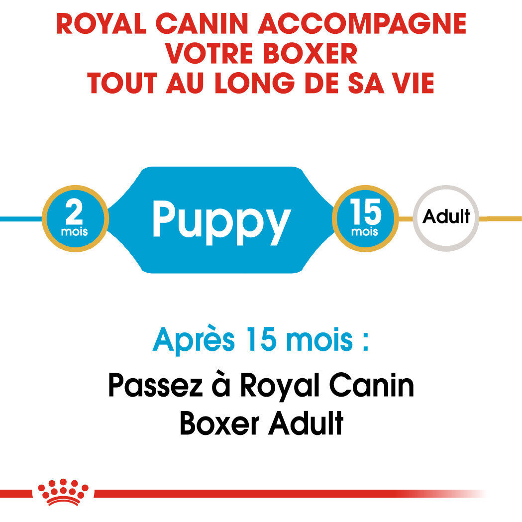 Royal Canin - Croquettes Boxer Junior pour Chiens - 3Kg Image num&eacute;ro 6