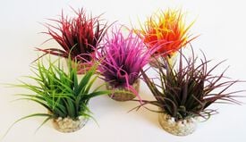 Tyrol - Décoration Plante Artificielle Nano Moss pour Aquarium - 8cm