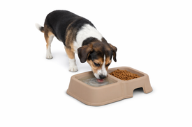 Leeby - Gamelle Double pour Chiens