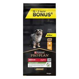 Pro Plan - Croquettes Medium Puppy Healthy Start Riche en Poulet pour Chiots - 12 + 2Kg Bonus